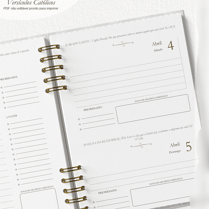 Arquivo Combo Agenda 2026 Versículos Católicos + 16 Capas  3