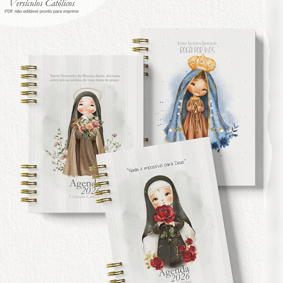 Arquivo Combo Agenda 2026 Versículos Católicos + 16 Capas  5