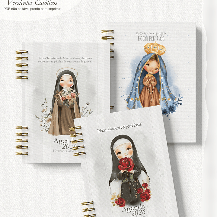 Arquivo Combo Agenda 2026 Versículos Católicos + 16 Capas  5