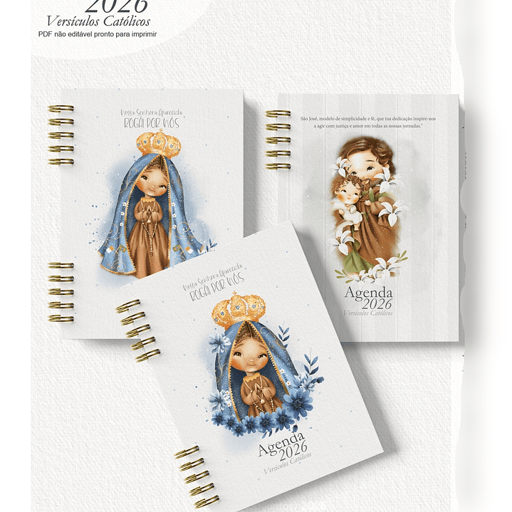 Arquivo Combo Agenda 2026 Versículos Católicos + 16 Capas  6