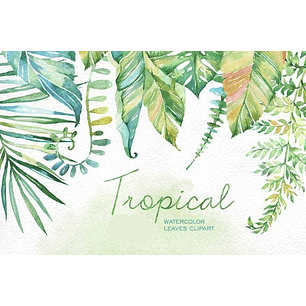 Kit Digital Folhas Tropical 