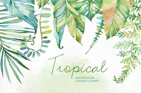 Kit Digital Folhas Tropical 