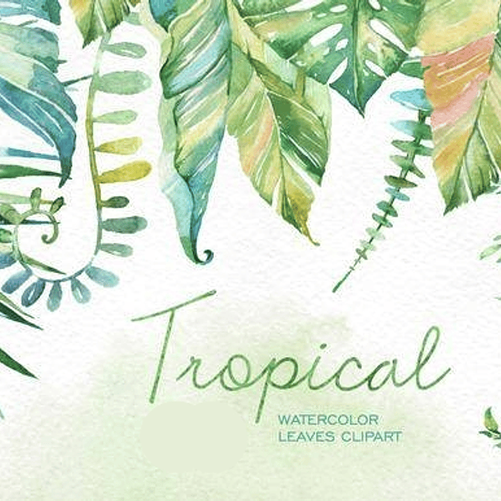 Kit Digital Folhas Tropical  1