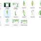 Kit Digital Folhas Tropical  - Thumbnail 2