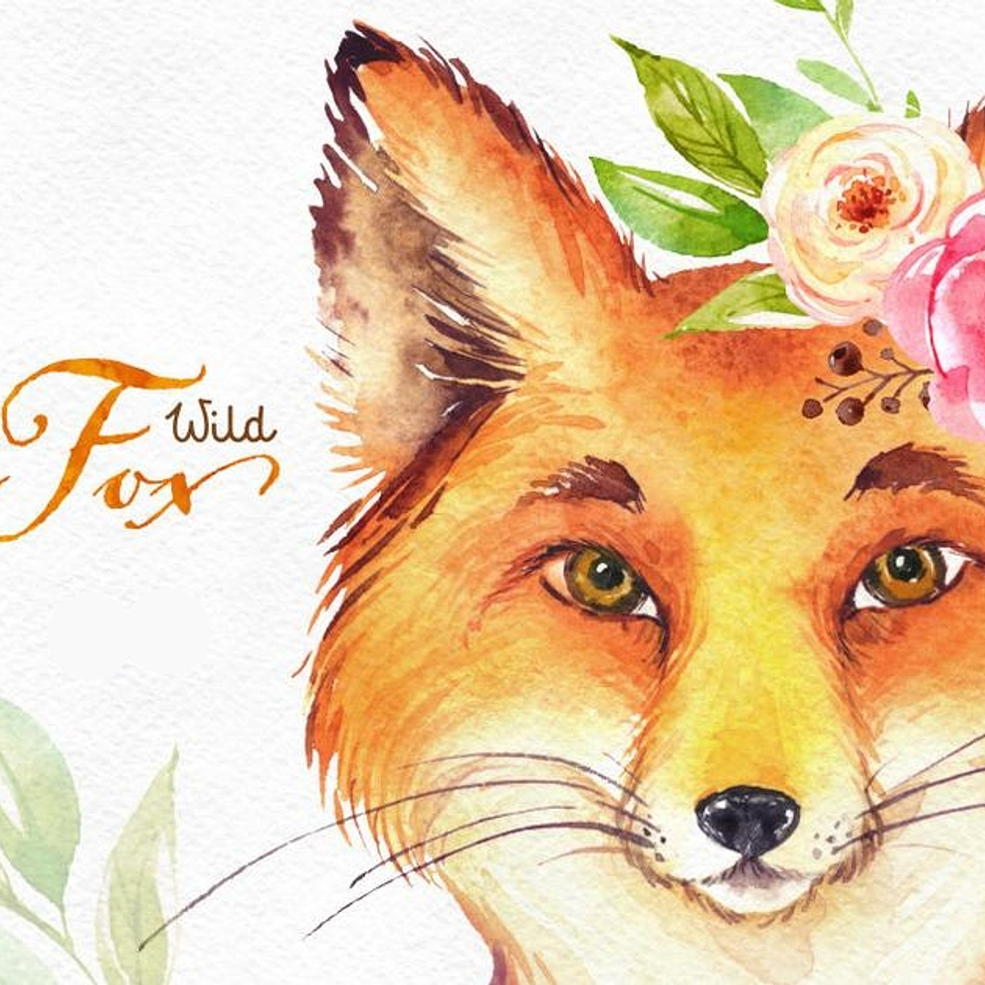 Kit Digital Raposa Selvagem  1