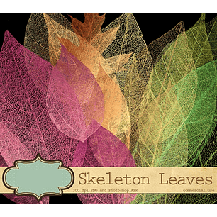 Kit Digital Folhas Coloridas 