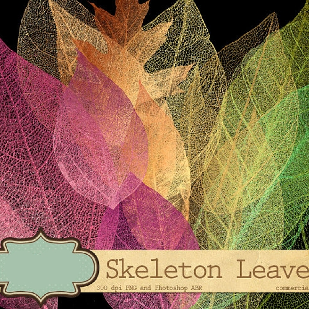 Kit Digital Folhas Coloridas  1