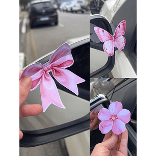 Arquivo Card Retrovisor Rosa 