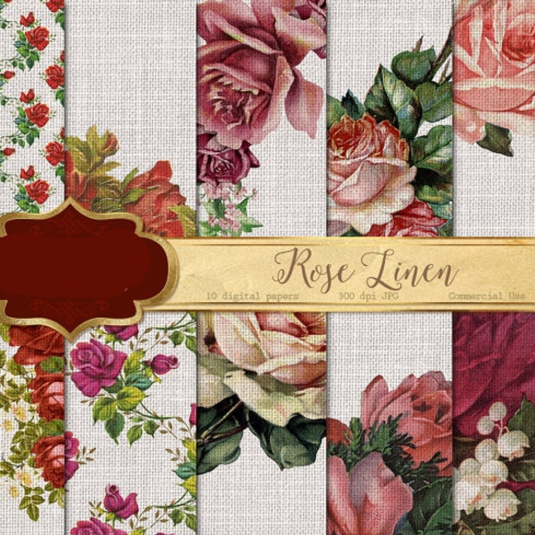 Kit Digital Papeis Molduras Rosas 1