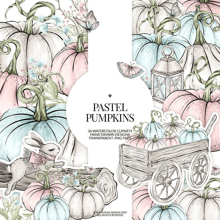 Kit Digital Aboboras  1