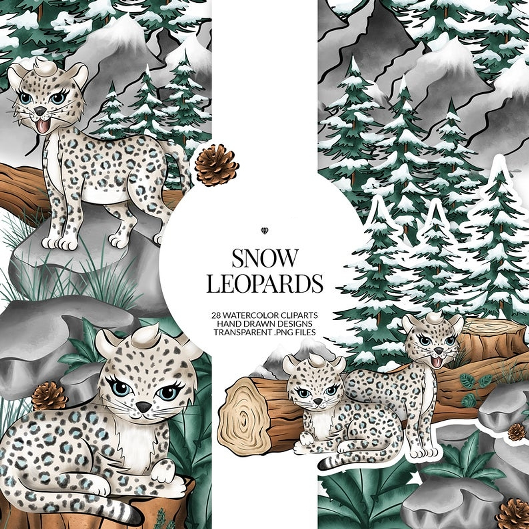 Kit Digital Leopardo Acessorios 1