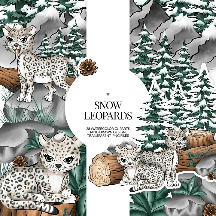 Kit Digital Leopardo Acessorios 1