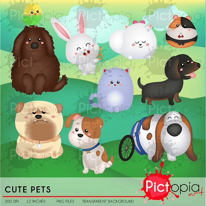 Kit Digital Animais Pet 1