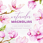 Kit Digital Flores De Magnolias  - Thumbnail 1