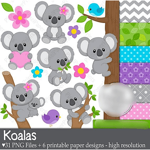 Kit Digital Koalas Baby