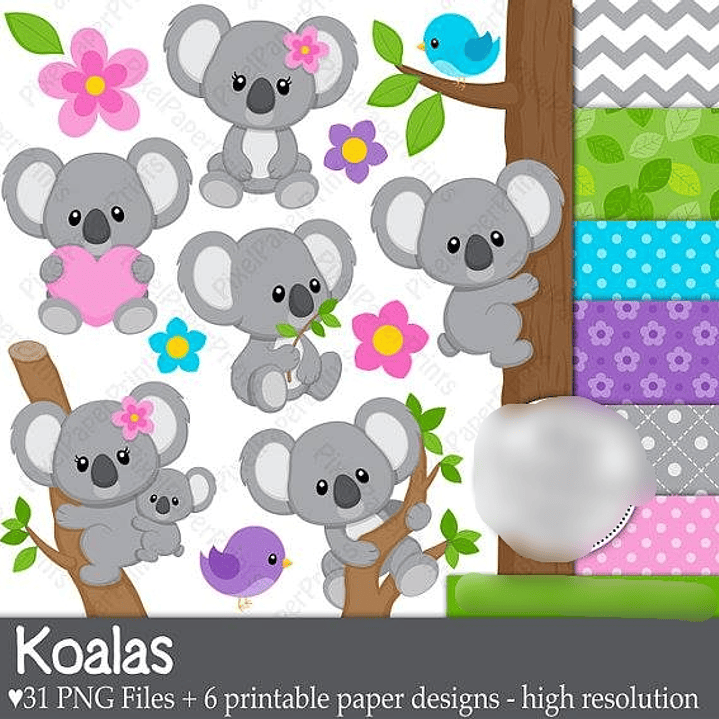 Kit Digital Koalas Baby 1