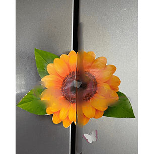 Arquivo Card Divulgação Girassol