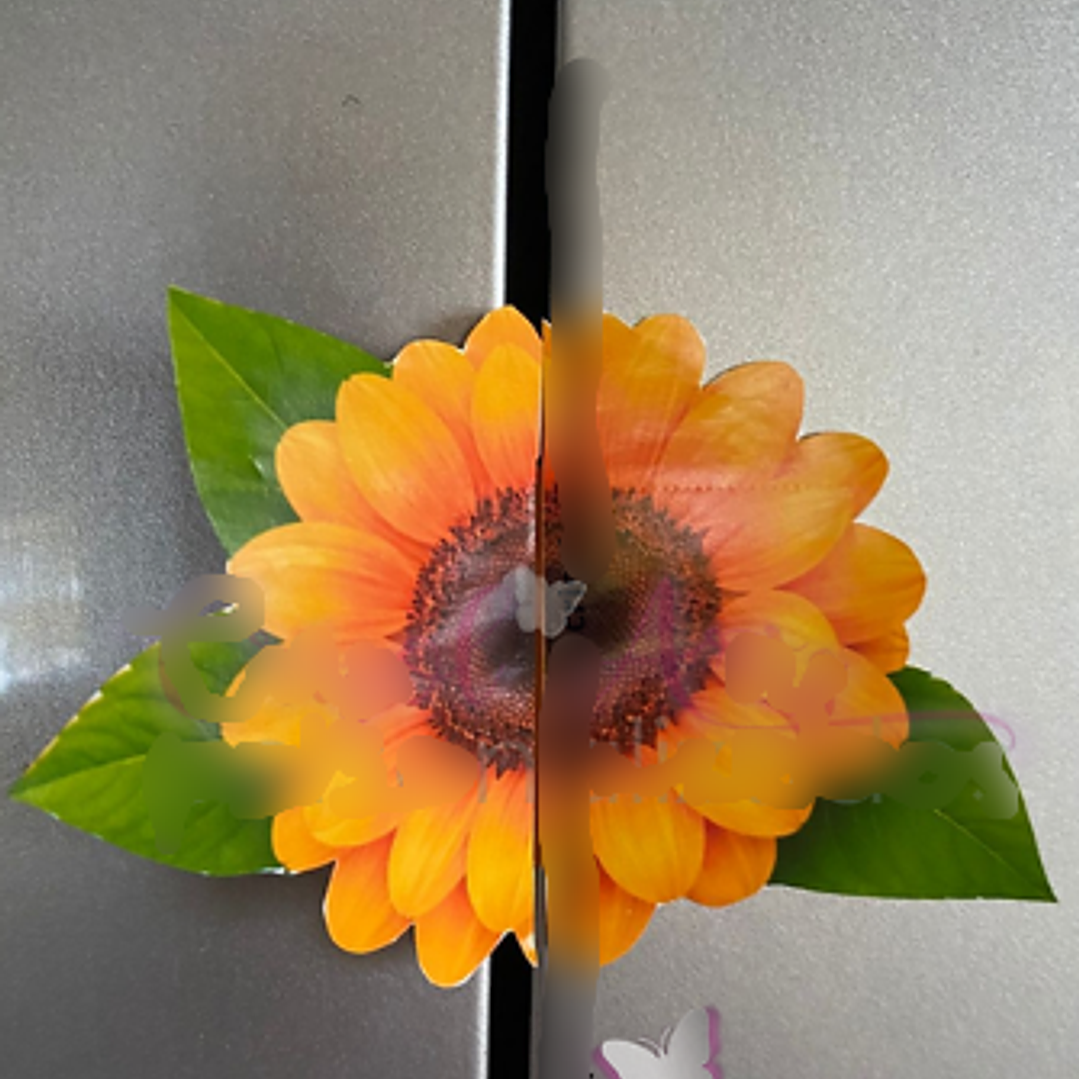 Arquivo Card Divulgação Girassol 1