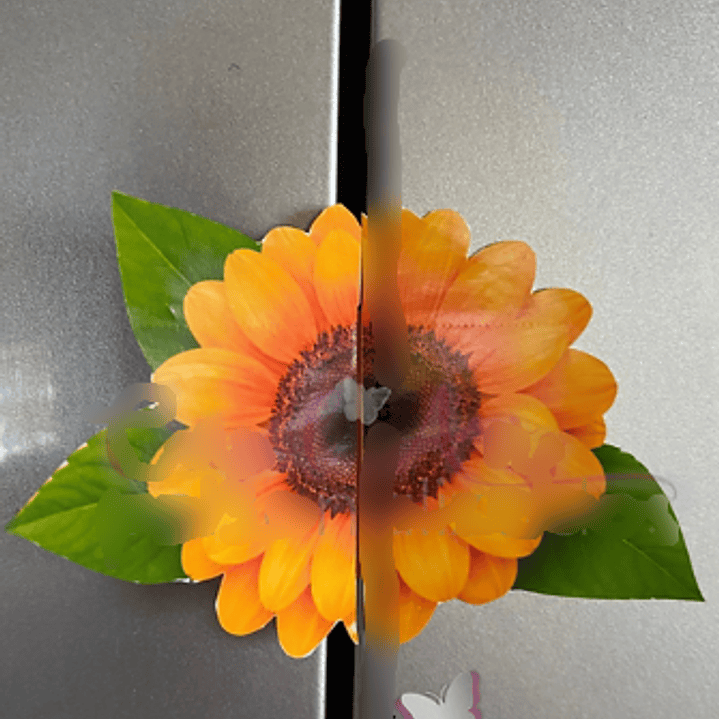 Arquivo Card Divulgação Girassol 1