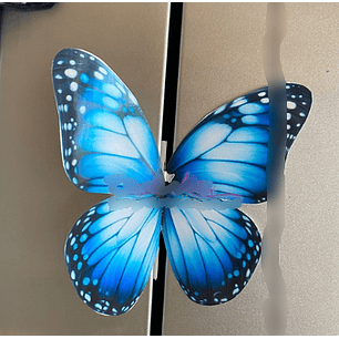 Arquivo Card Divulgação Borboleta 