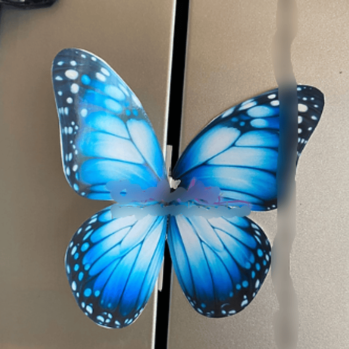 Arquivo Card Divulgação Borboleta  1