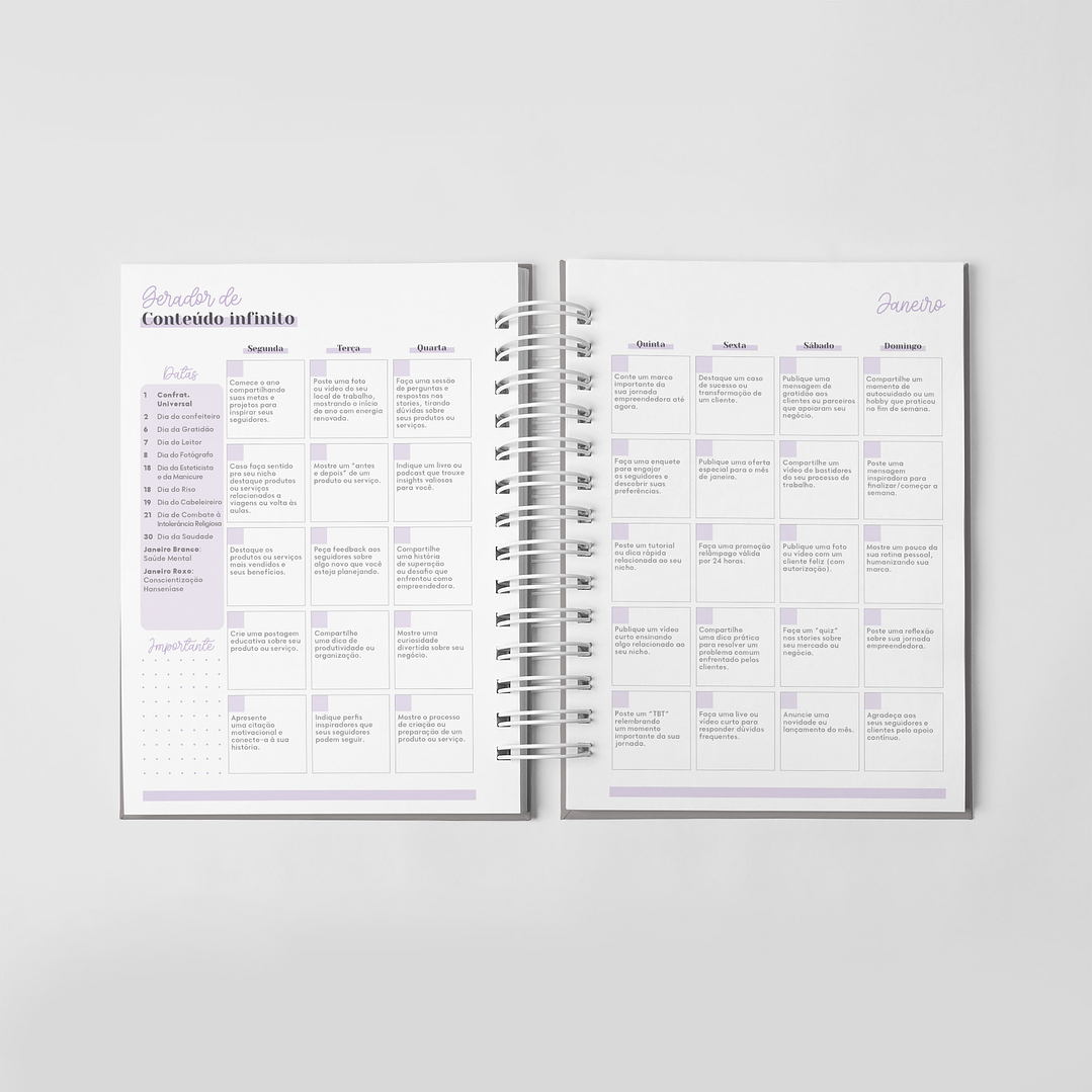 Arquivo Combo Planner da Empreendedora Artesã 2026  4
