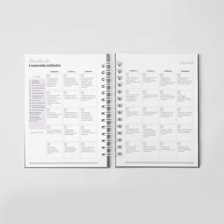 Arquivo Combo Planner da Empreendedora Artesã 2026  4