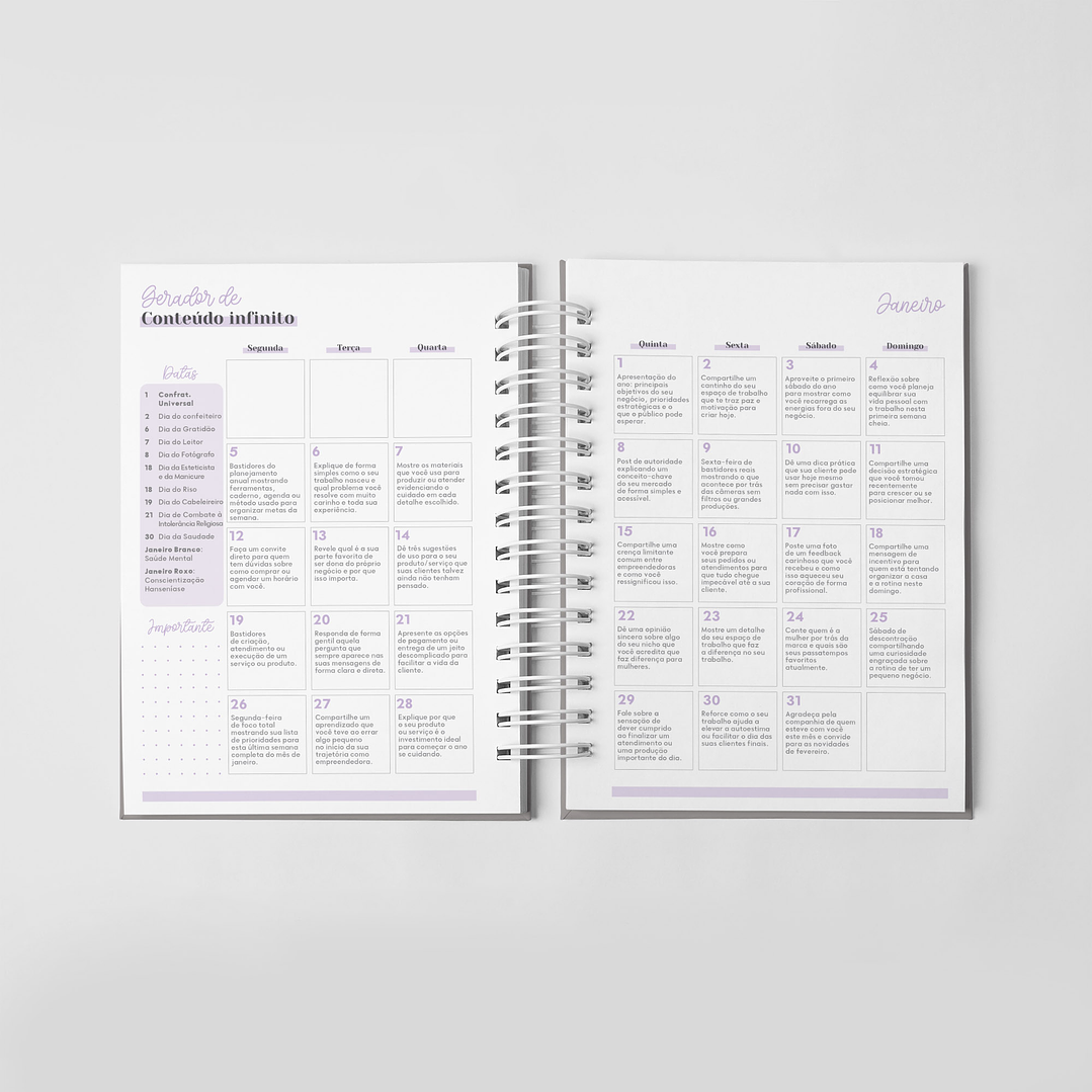 Arquivo Combo Planner da Empreendedora Artesã 2026  5
