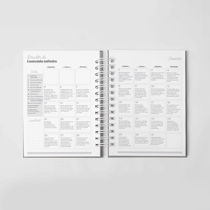 Arquivo Combo Planner da Empreendedora Artesã 2026  5