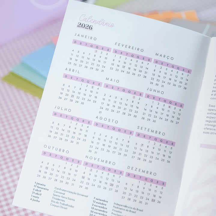 Arquivo Combo Planner da Empreendedora Artesã 2026  9