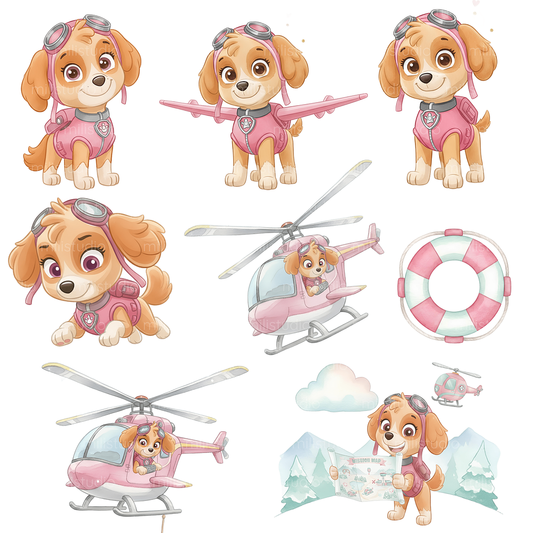 Kit Digital Skye e Everest  3