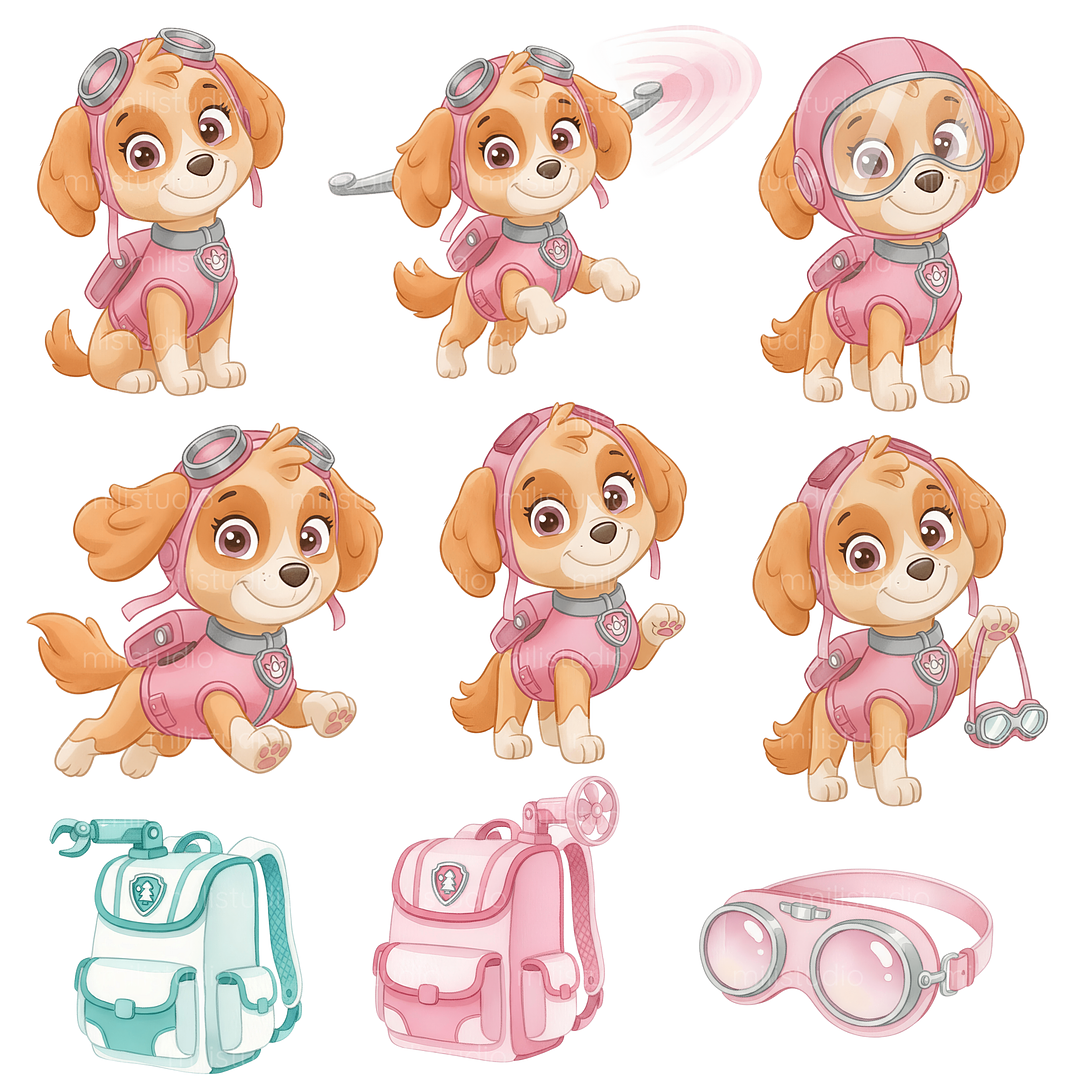 Kit Digital Skye e Everest  11