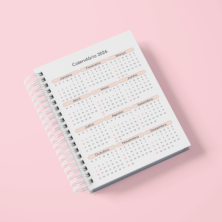 Arquivo Agendamento Datado 2026 Nude  6