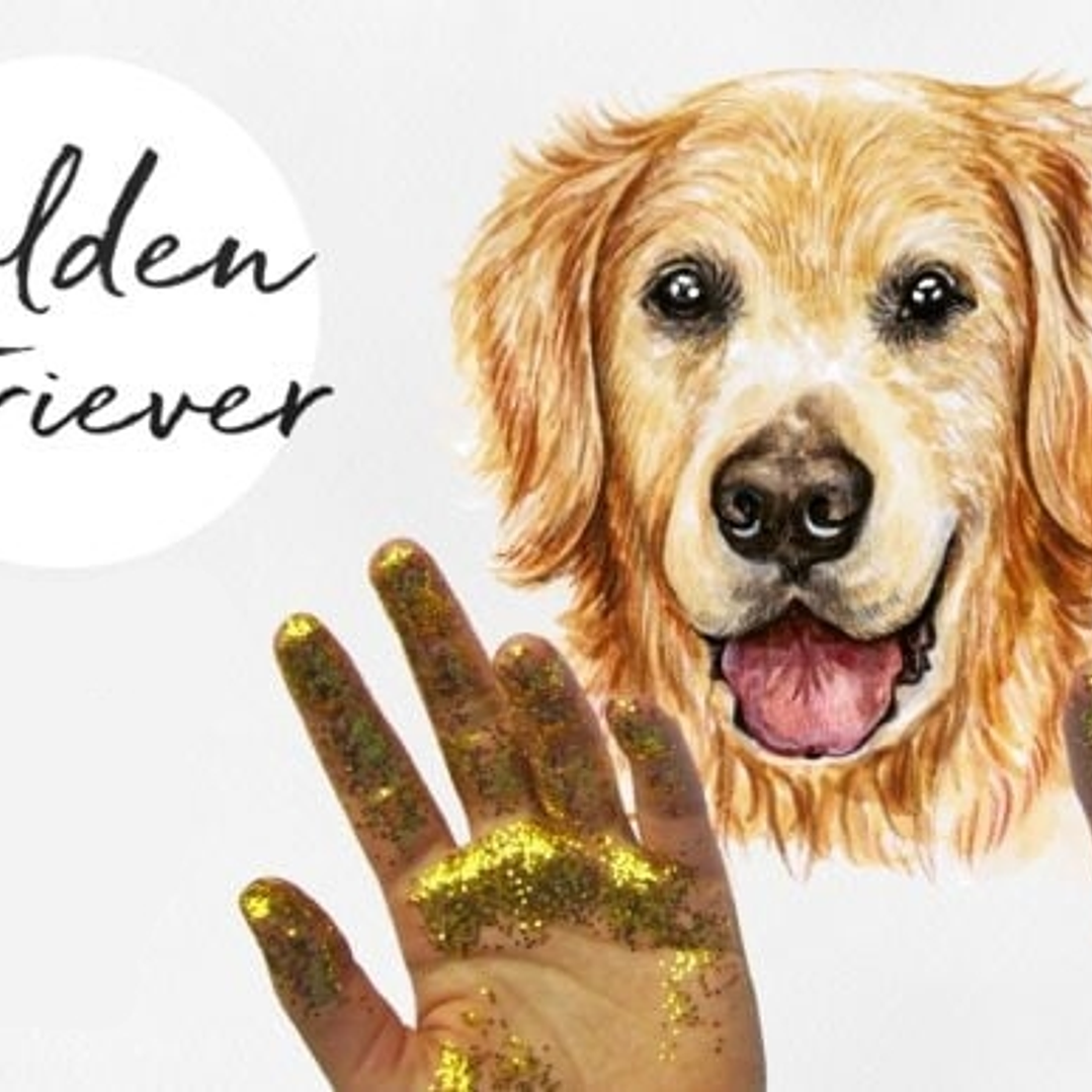 Kit Digital Cachorro Pet Golden  1