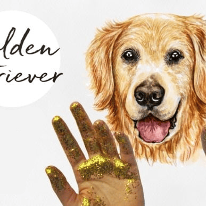 Kit Digital Cachorro Pet Golden  1