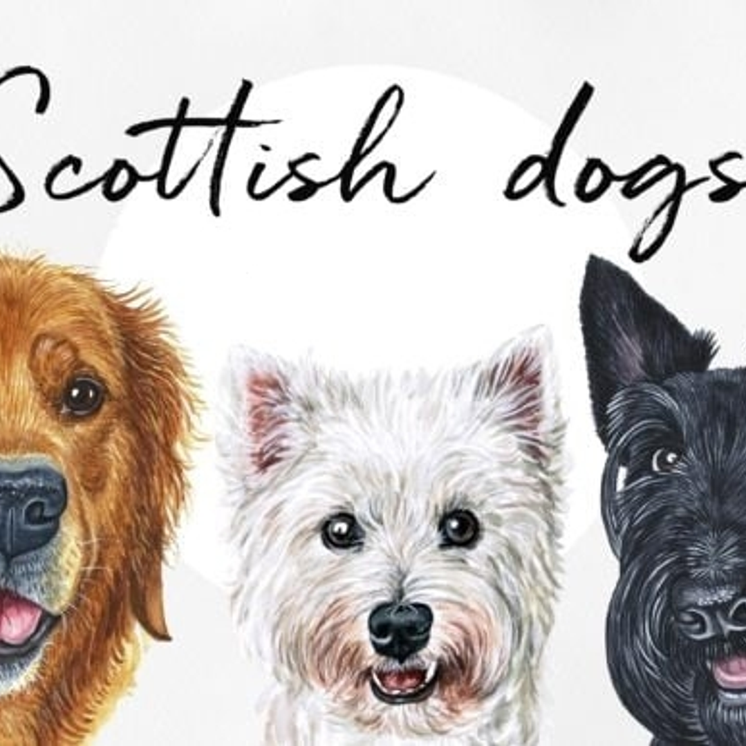 Kit Digital Cachorro Pet Scottish 1