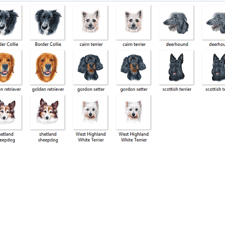 Kit Digital Cachorro Pet Scottish 2