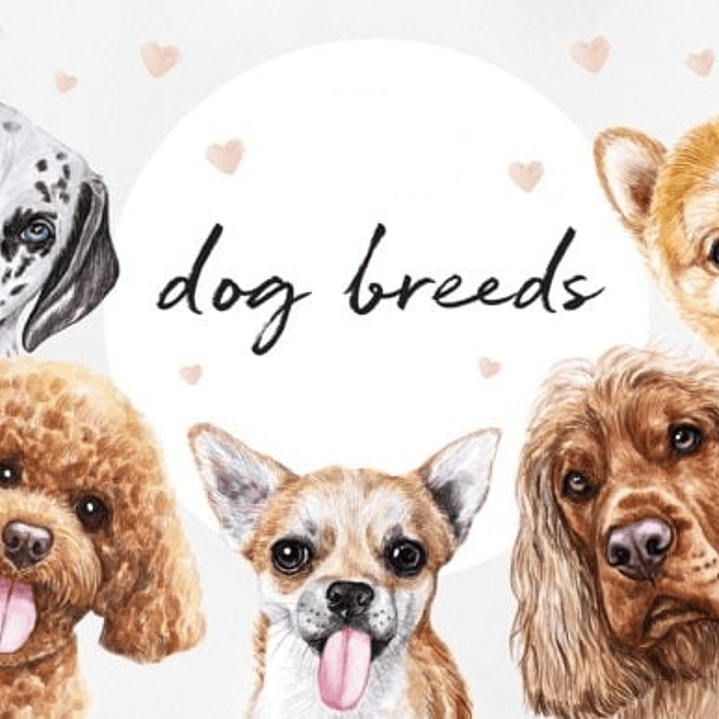 Kit Digital Dog Breeds 1