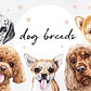 Kit Digital Dog Breeds - Thumbnail 1