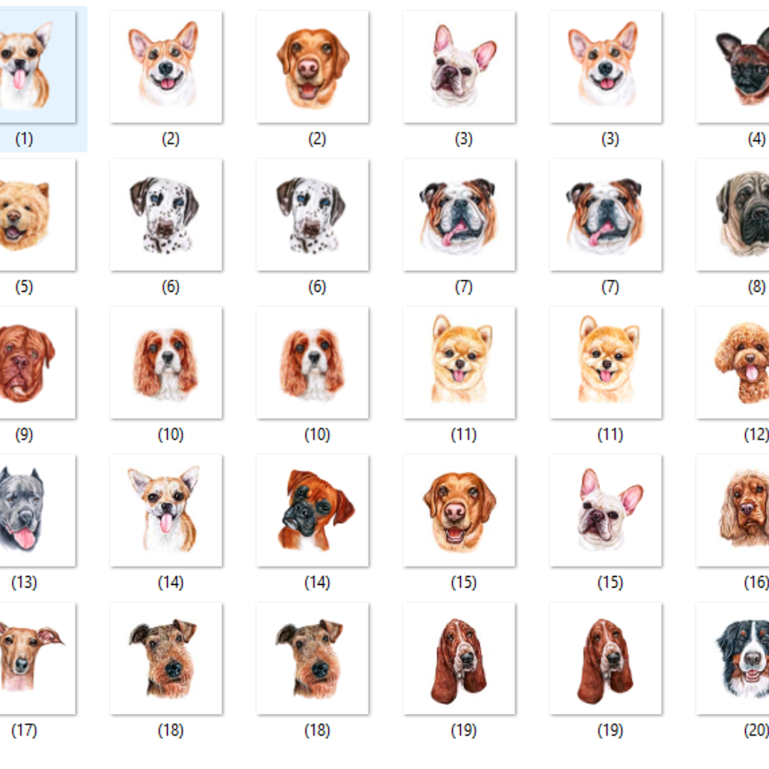 Kit Digital Dog Breeds 2