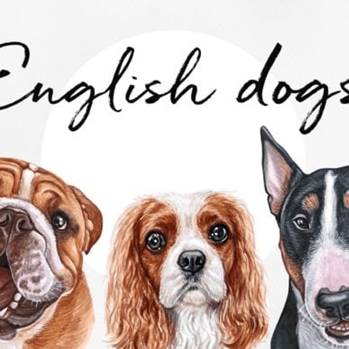 Kit Digital Cães Ingleses  1