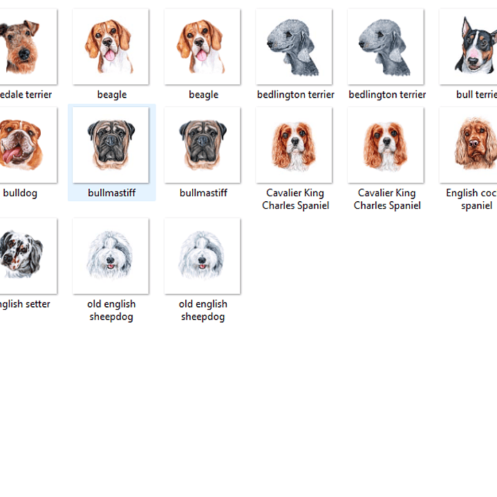 Kit Digital Cães Ingleses  2