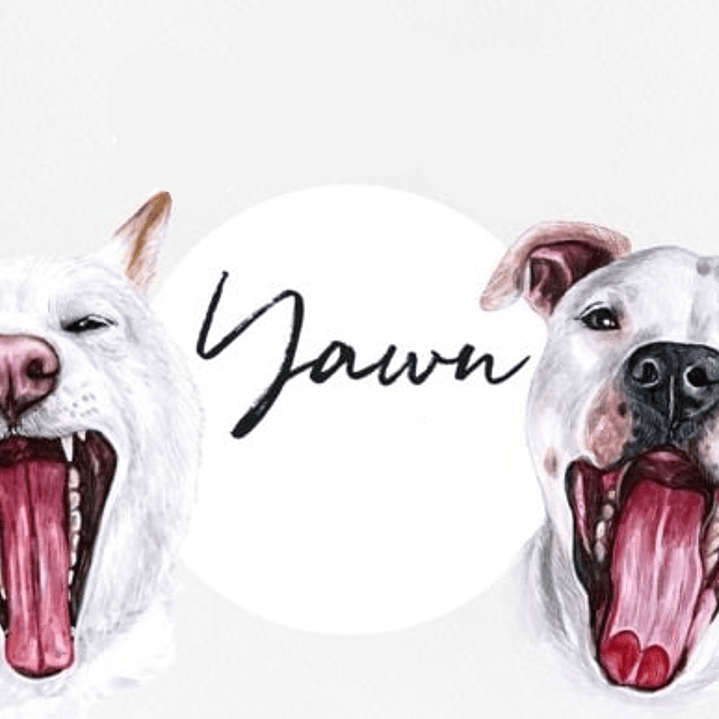 Kit Digital Cães Borcejando  1