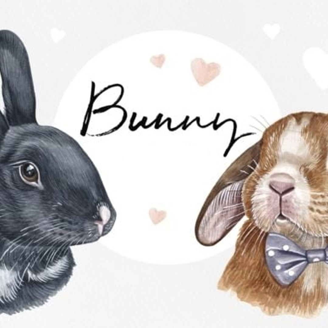 Kit Digital Coelhinhos  1