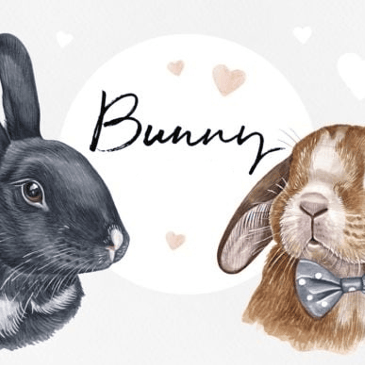 Kit Digital Coelhinhos  1