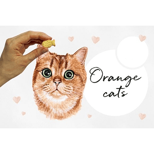 Kit Digital Gatinhos Laranja 