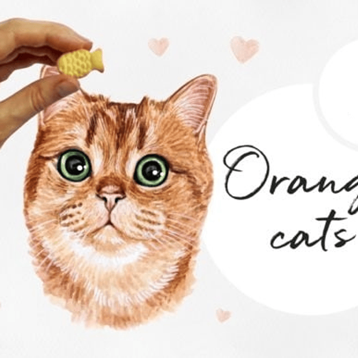 Kit Digital Gatinhos Laranja  1