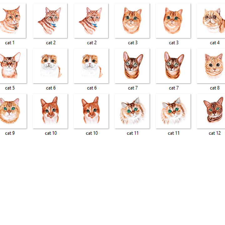 Kit Digital Gatinhos Laranja  2