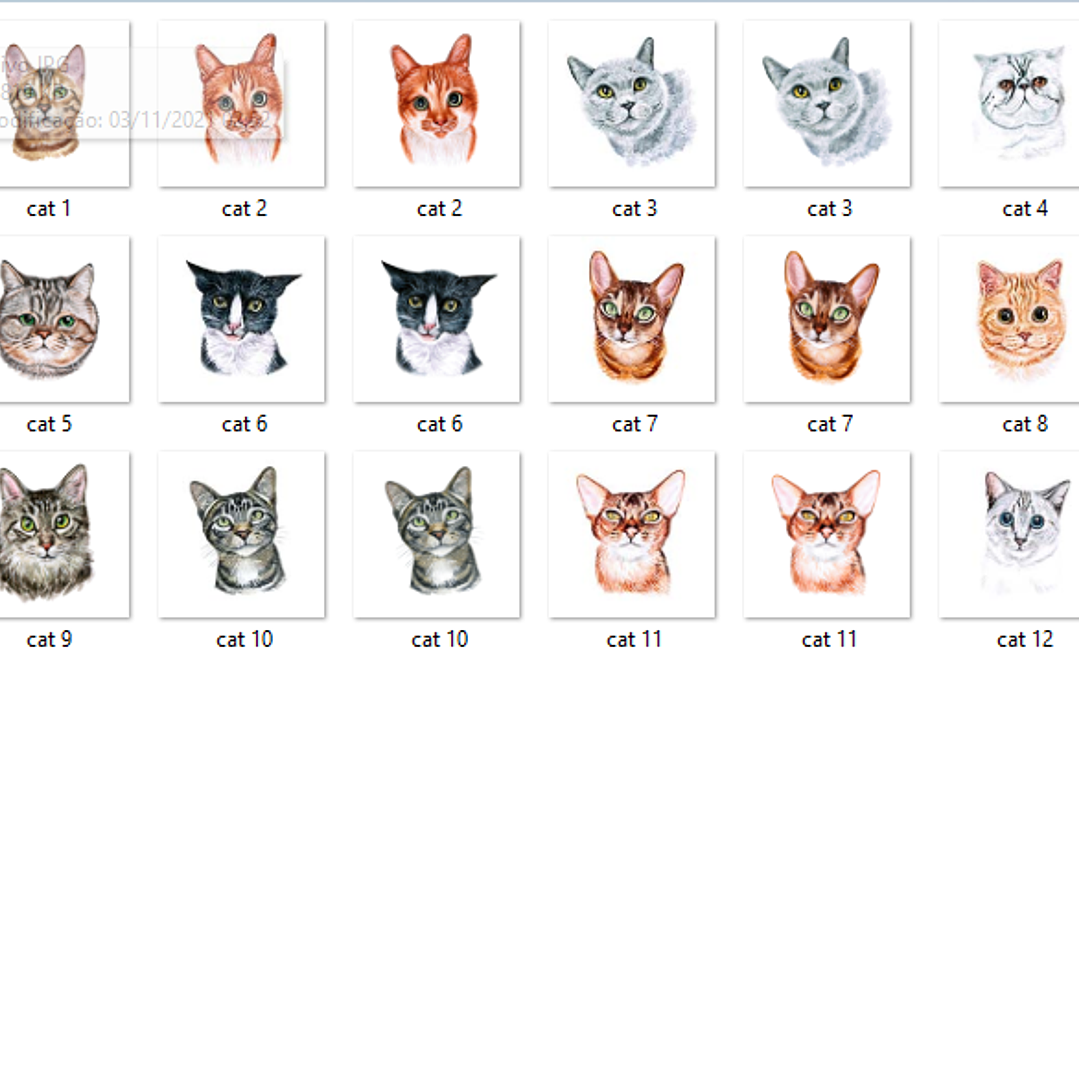 Kit Digital Pet Gatos  2