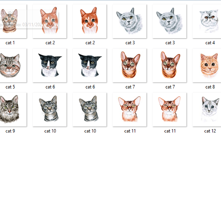 Kit Digital Pet Gatos  2